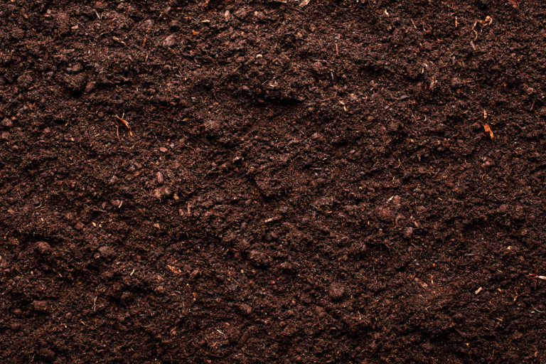Soil pH Testing 1